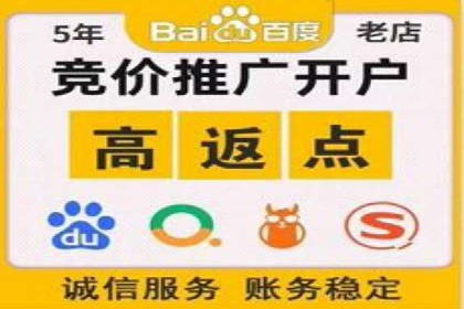 网络推广策略：竞价广告的实践案例
